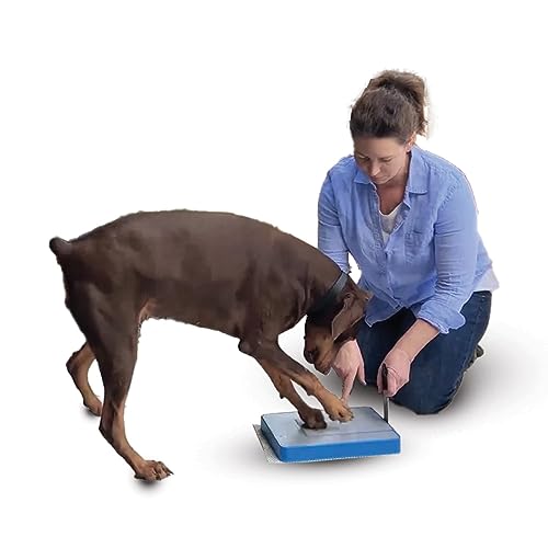 The importance of trimming your dog's nails and how the unique Digger Dog Nail File - a Dog Nail Scratch Pad - could help with this grooming task.